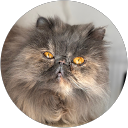 Foto de perfil de Sarai